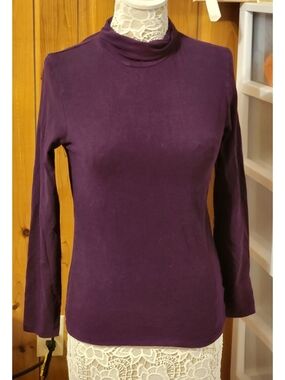 Plum Purple TurtleNeck Long Sleeve Layering Top